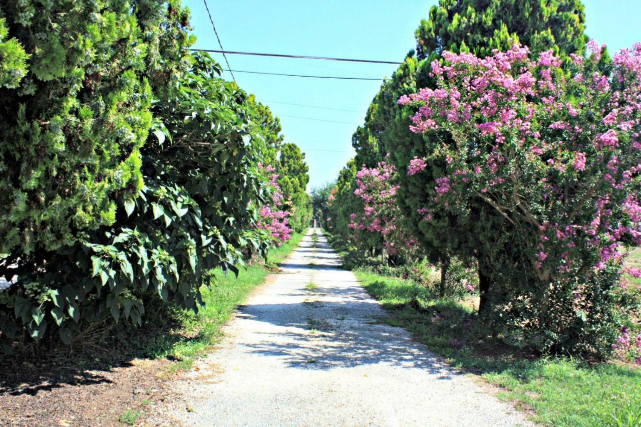 Nonantola B&B Villa Paolida, Aceto Balsamico & Acetaia Antica מראה חיצוני תמונה